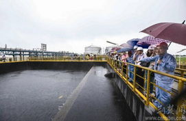 武汉80万吨乙烯工程首开放 污水处理达养鱼标准，绿色发展成亮点