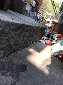 谁污染谁治理 环境保护的责任与行动