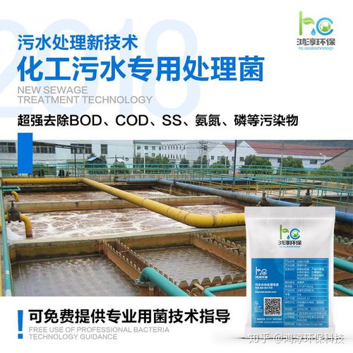 分析 污水处理工艺中的生物除磷法